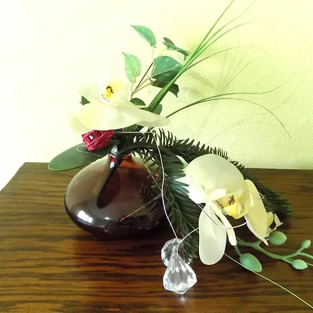 - Maison Rustique Avec Jardin Clos - Proche Commerces Et Plages 鲁瓦扬