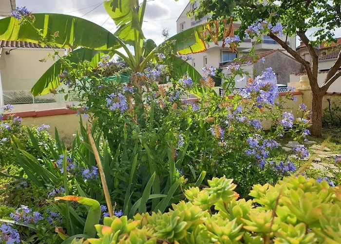 Villa - Maison Rustique Avec Jardin Clos - Proche Commerces Et Plages *