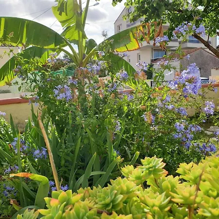 Villa - Maison Rustique Avec Jardin Clos - Proche Commerces Et Plages *